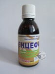 Енцефана