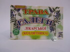 Трава Галега лікарська (козлятник)