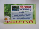 Пагони Чорниці звичайної
