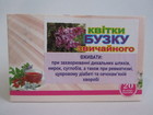 Квіти Бузку звичайного
