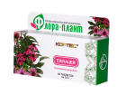 Флора-плант Ехінацея